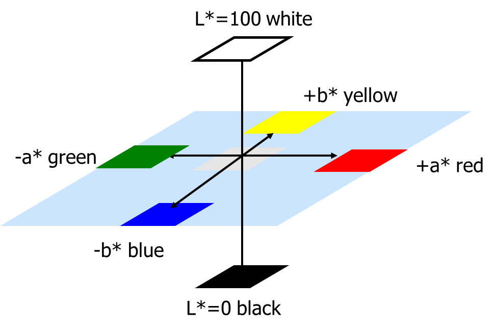 lab